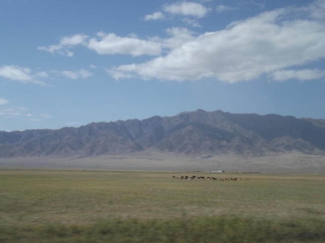 Fot. Archiwum prywatne Projekt Kazachstan - 2015