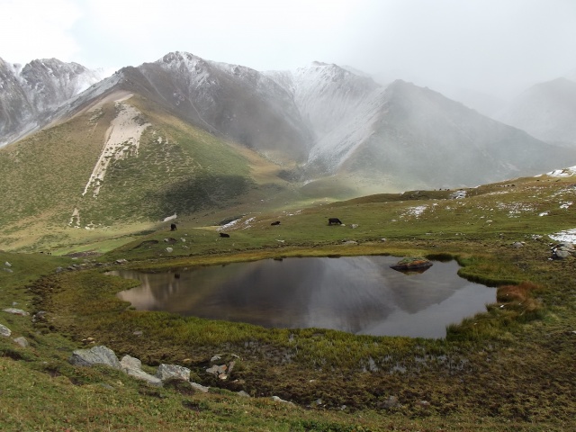 Fot. Archiwum prywatne Projekt Kazachstan - 2015
