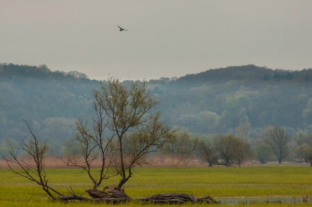 52 Plener Migawki - fot. Zbigniew Jabłoński (2) [04.05.2013] Podsumowanie 52 Pleneru Migawki