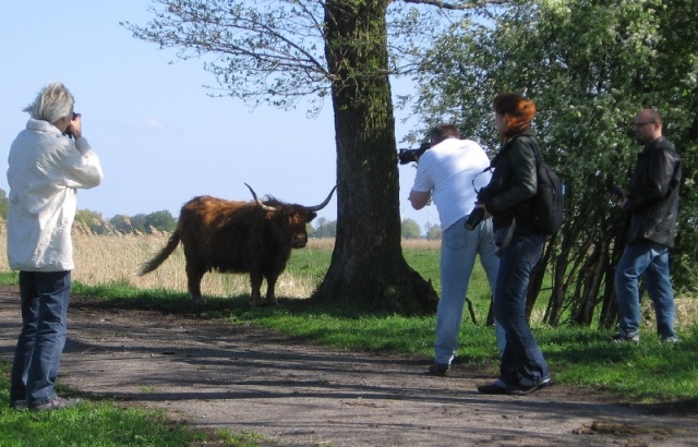 64 Plener Migawki - fot. Eugeniusz Bednarski (13) [04.05.2014] Na tropie hiperfokalnej...