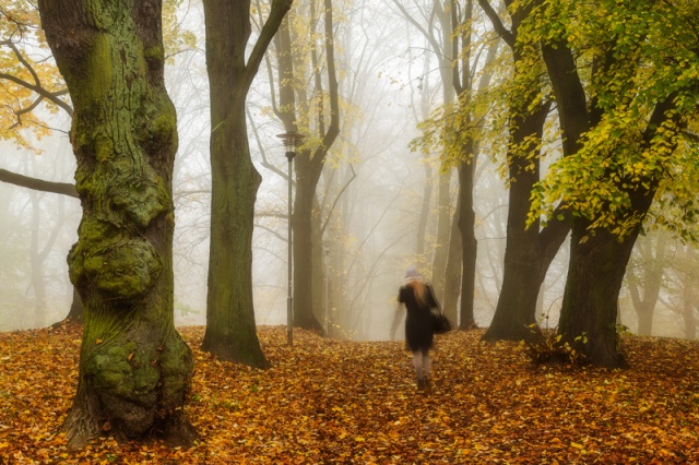 71 Plener Migawki - fot. Regina Nowotarska - Odchodząca jesień (1) [16.11.2014] Omówienie 71. Pleneru Migawki