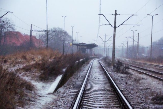 74 Plener Migawki - fot. Jarosław Stachura (3) [08.03.2015] Relacja ze spotkania w Policach i zaproszenie na Fotografię Dzikiej Przyrody
