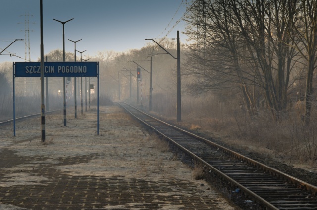 74 Plener Migawki - fot. Katarzyna Romaniuk (1) [08.03.2015] Relacja ze spotkania w Policach i zaproszenie na Fotografię Dzikiej Przyrody