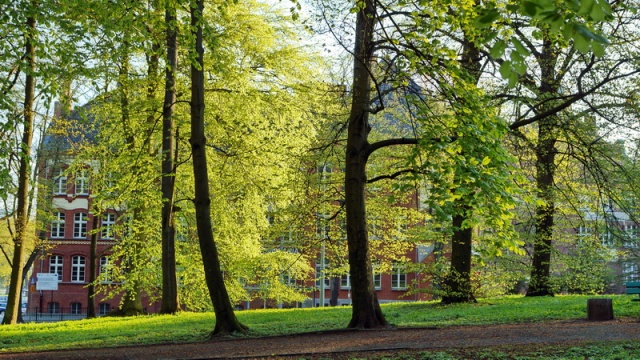 76 Plener Migawki-fot. Erazm Dominiak (13) [10.05.2015] Oglądamy wystawy i zdjęcia po 76 Plenerze Migawki