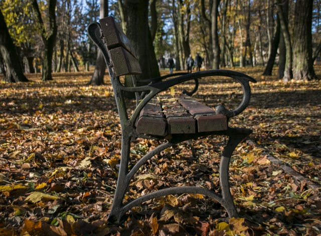 83 Plener Migawki - fot. Marta Teszner (2) [22.11.2015] Omawiamy 83. Plener Migawki i rozmawiamy z Joanną Stogą