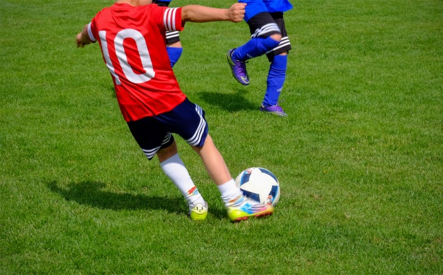 88 Plener Migawki - fot. Marta Teszner (12) [22.05.2016] Plenery i wystawy