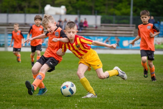 88 Plener Migawki - fot. Grzegorz Bera (2) [22.05.2016] Plenery i wystawy