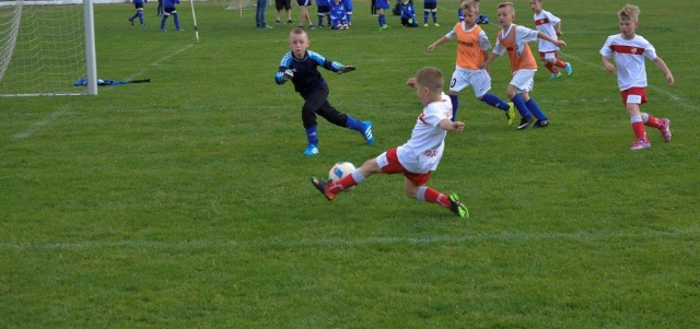 88 Plener Migawki - fot. Henryk Petruczenko (1) [22.05.2016] Plenery i wystawy