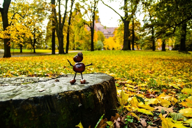94 Plener Migawki - fot. Benedykt Dróżdż (7) [06.11.2016] Oglądamy zdjęcia po 94. Plenerze i rozmawiamy ze Sławomirem Idziakiem