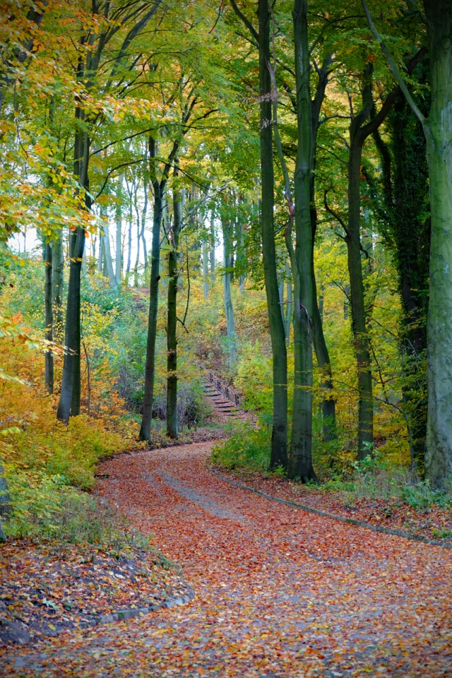 94 Plener Migawki - fot. Grzegorz Siwa (3) [06.11.2016] Oglądamy zdjęcia po 94. Plenerze i rozmawiamy ze Sławomirem Idziakiem