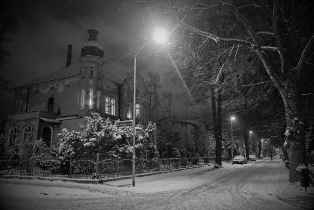 96 Plener Migawki - fot. Grzegorz Siwa (6) [29.01.2017] Plenerowo