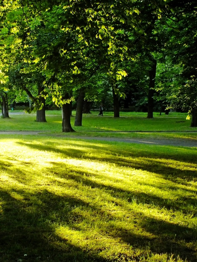 110 Plener Migawki - fot. Lucyna Stępień (7) [27.05.2018] Oglądamy zdjęcia po 110. "Wiosennym" Plenerze Migawki