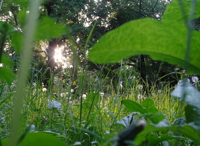 110 Plener Migawki - fot. Bożena Chodzicka (8) [27.05.2018] Oglądamy zdjęcia po 110. "Wiosennym" Plenerze Migawki