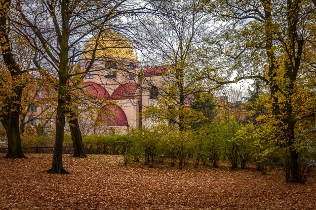 115 Plener Migawki - fot. Piotr Sokołowski (1) [04.11.2018] Omawiamy zdjęcia po jesiennym plenerze, oglądamy zdjęcia Świetlika