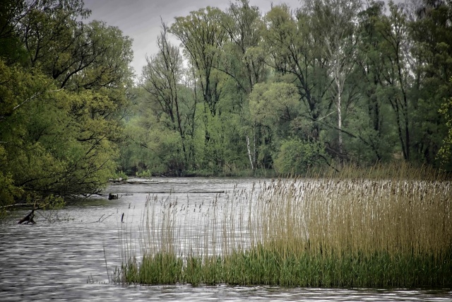 120 Plener Migawki - fot. Aleksandra Luberda (7) [05.05.2019] Oglądamy zdjęcia po 120. Plenerze Migawki "Wiosenny rejs"