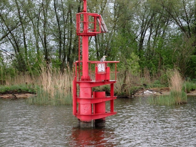 120 Plener Migawki - fot. Barbara Olszewska (1) [05.05.2019] Oglądamy zdjęcia po 120. Plenerze Migawki "Wiosenny rejs"