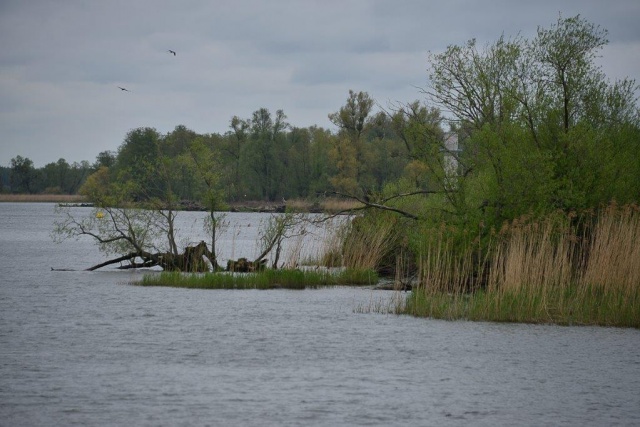 120 Plener Migawki - fot. Henryk Petruczenko (5) [05.05.2019] Oglądamy zdjęcia po 120. Plenerze Migawki "Wiosenny rejs"