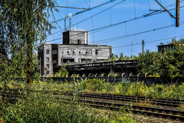 123 Plener Migawki-fot. Benedykt Dróżdż (7) [08.09.2019] Oglądamy zdjęcia po 123. Plenerze Migawki "Skolwin nie poDRODZE"