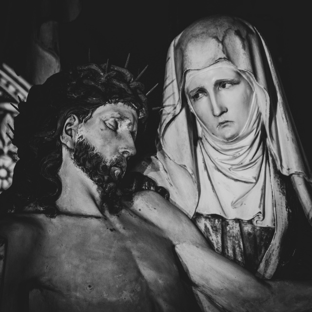 125 Plener Migawki - fot. Dorota Dobrowolska (1) [24.11.2019] Gość Migawki: Wojtek Moskwa