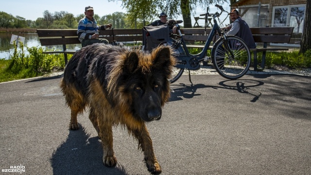 Stany epidemiczne, fot. Wojciech Ochrymiuk (1) [17.05.2020] "Stany epidemiczne" czyli praca redakcji On-Line Radia Szczecin w czasie pandemii