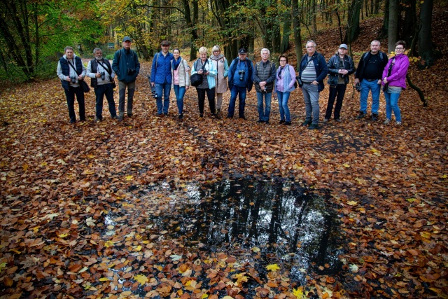 147 Plener Migawki - fot. Andrzej Kutys (10) [30.10.2022] 147. Plener Migawki "Jesienny spacer po Puszczy Bukowej"