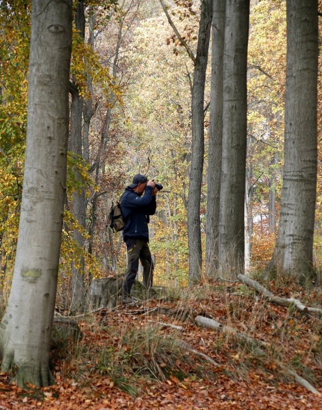 147 Plener Migawki - fot. Eugeniusz Bednarski (3) [30.10.2022] 147. Plener Migawki "Jesienny spacer po Puszczy Bukowej"