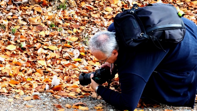 147 Plener Migawki - fot. Jerzy Budnik (15) [30.10.2022] 147. Plener Migawki "Jesienny spacer po Puszczy Bukowej"