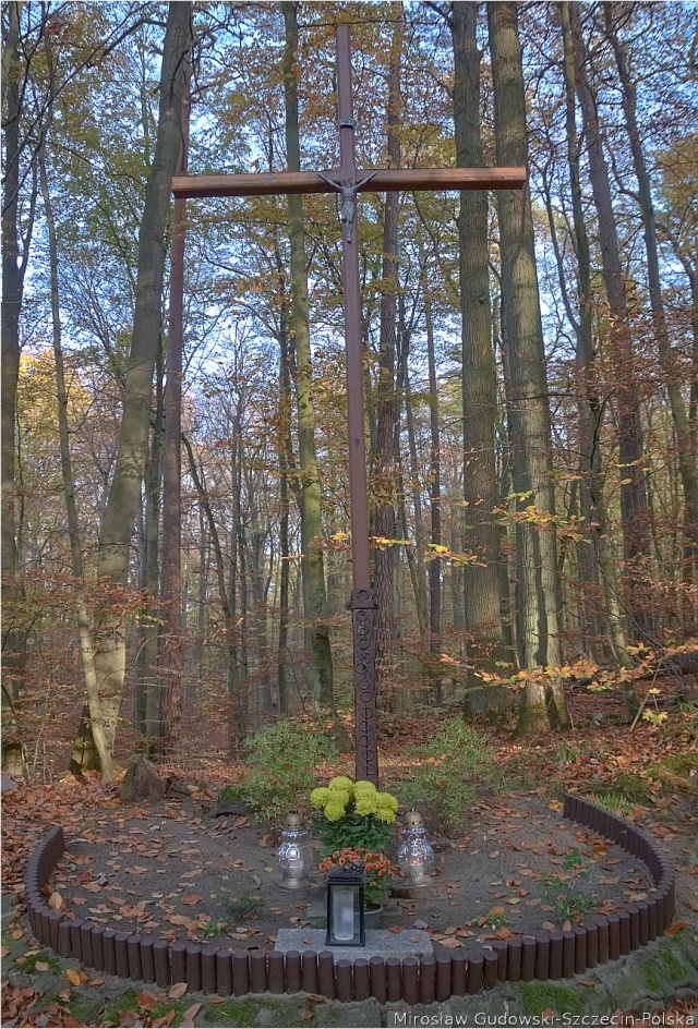147 Plener Migawki - fot. Mirosław Gudowski (18) [30.10.2022] 147. Plener Migawki "Jesienny spacer po Puszczy Bukowej"