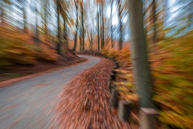 147 Plener Migawki - fot. Zbigniew Jabłoński (3) [30.10.2022] 147. Plener Migawki "Jesienny spacer po Puszczy Bukowej"