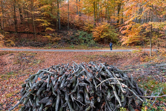 147 Plener Migawki - fot. Zbigniew Jabłoński (10) [30.10.2022] 147. Plener Migawki "Jesienny spacer po Puszczy Bukowej"