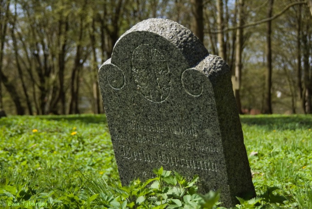 151 Plener Migawki - fot. Ewa Tyburczy (2) [22.04.2023] 151. Plener Migawki - Historyczna i przemysłowa Żelechowa, czyli "Plener Pod Dwoma Suwnicami"