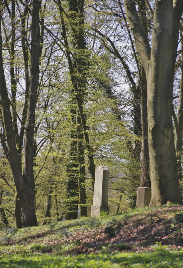151 Plener Migawki - fot. Eugeniusz Bednarski (5) [22.04.2023] 151. Plener Migawki - Historyczna i przemysłowa Żelechowa, czyli "Plener Pod Dwoma Suwnicami"