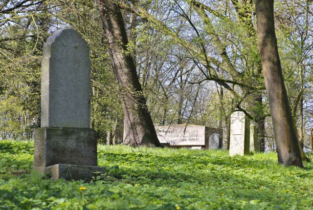 151 Plener Migawki - fot. Eugeniusz Bednarski (6) [22.04.2023] 151. Plener Migawki - Historyczna i przemysłowa Żelechowa, czyli "Plener Pod Dwoma Suwnicami"