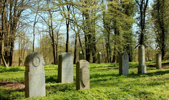 151 Plener Migawki - fot. Iwona Mindykowska (2) [22.04.2023] 151. Plener Migawki - Historyczna i przemysłowa Żelechowa, czyli "Plener Pod Dwoma Suwnicami"