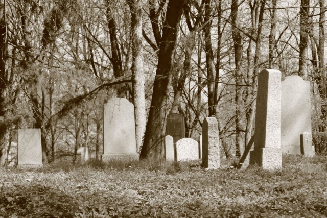 151 Plener Migawki - fot. Wojciech Jaremek (1) [22.04.2023] 151. Plener Migawki - Historyczna i przemysłowa Żelechowa, czyli "Plener Pod Dwoma Suwnicami"