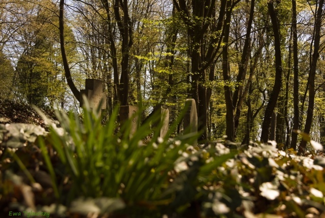 151 Plener Migawki - fot. Ewa Tyburczy (1) [30.04.2023] Oglądamy zdjęcia po 151. Plener Migawki - Historyczna i przemysłowa Żelechowa, czyli "Plener Pod Dwoma Suwnicami"