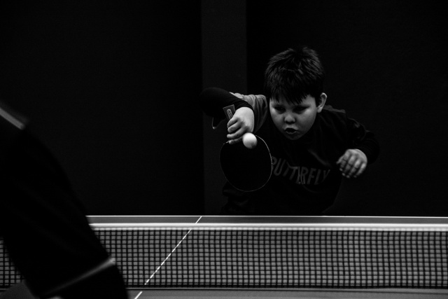 156 Plener Migawki - fot. Dorota Dobrowolska (8) [09.12.2023] 156. Plener Migawki - Narodowy Dzień Tenisa Stołowego