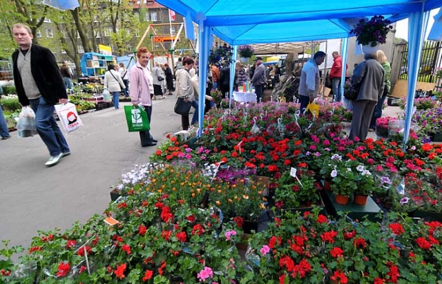 Piknik nad Odra - fot. Lukasz Szelemej 02.JPG 