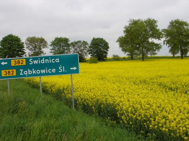 Fot. Zdzislaw Tararako 01.JPG [22.05.2010] Rolnictwo na terenach podgórskich