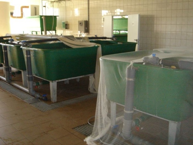 Biogazownia - fot. Zdzislaw Tararako 07.JPG 