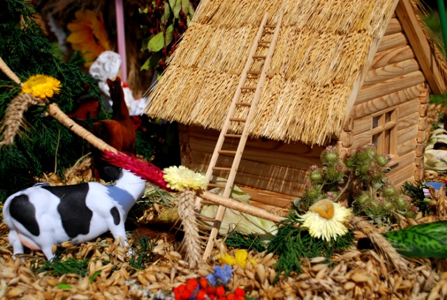 Dożynki 2008 w Agrofirmie Witkowo - fot. Łukasz Szełemej [PRS] 04.JPG 