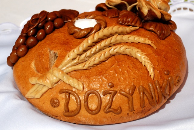 Dożynki 2008 w Agrofirmie Witkowo - fot. Łukasz Szełemej [PRS] 09.JPG 