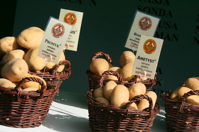 Agropomerania 2009 - fot. Pawel Plocharski 10.JPG 