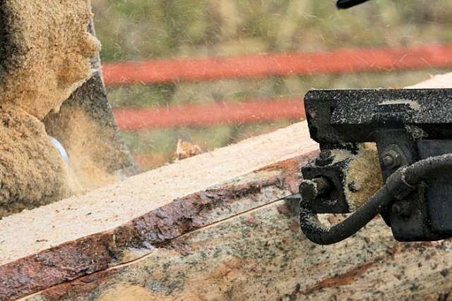 Agropomerania 2009 - fot. Pawel Plocharski 14.JPG 