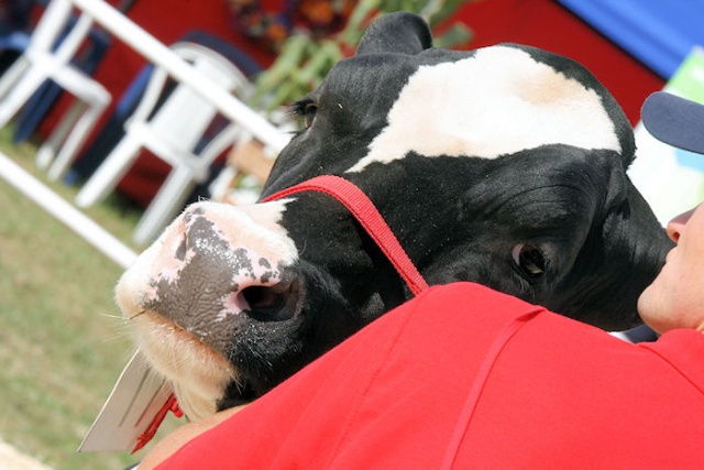 Agropomerania 2009 - fot. Pawel Plocharski 22.JPG 