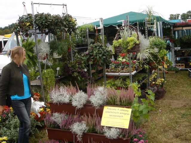 Targi Agropomerania 2009 w Barzkowicach - fot. Zdzislaw Tararako 06.JPG 