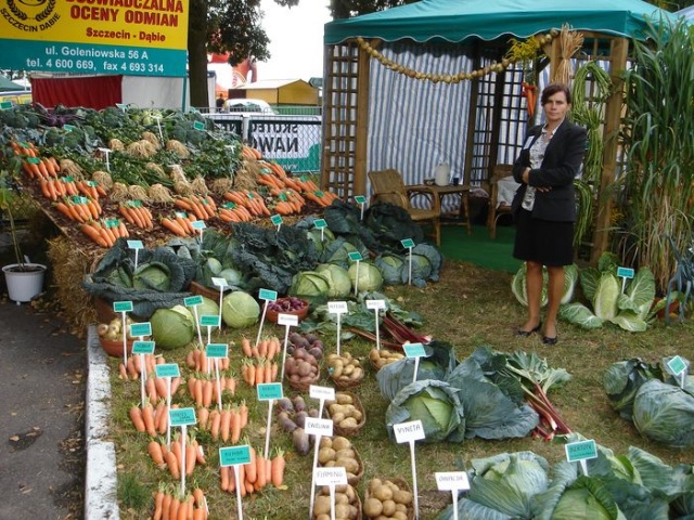 Targi Agropomerania 2009 w Barzkowicach - fot. Zdzislaw Tararako 09.JPG 