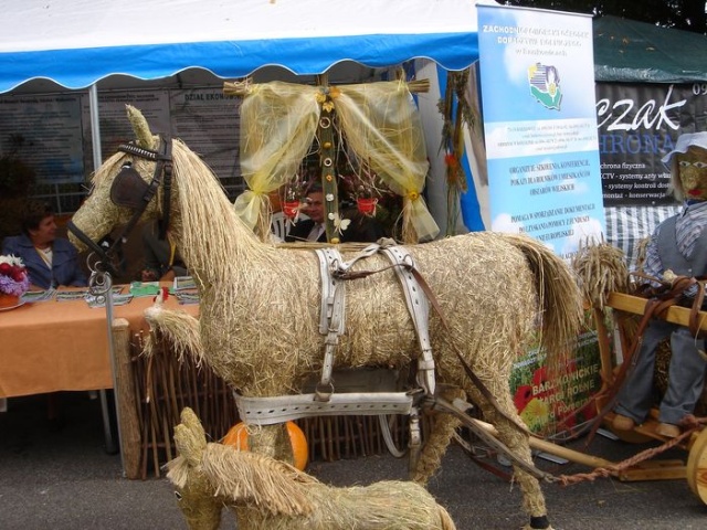 Targi Agropomerania 2009 w Barzkowicach - fot. Zdzislaw Tararako 10.JPG 