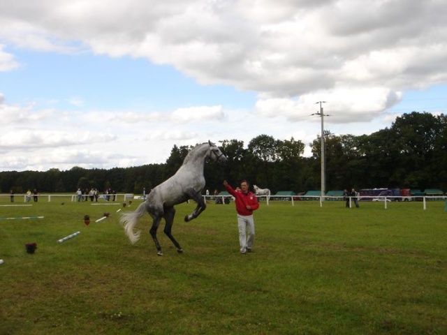 Targi Agropomerania 2009 w Barzkowicach - fot. Zdzislaw Tararako 11.JPG 