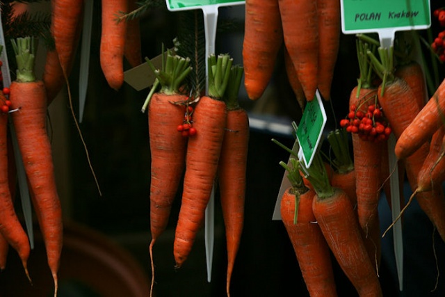 Agropomerania 2009 - fot. Pawel Plocharski 04.JPG 